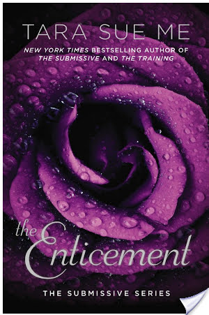 Review:  The Enticement by Tara Sue Me